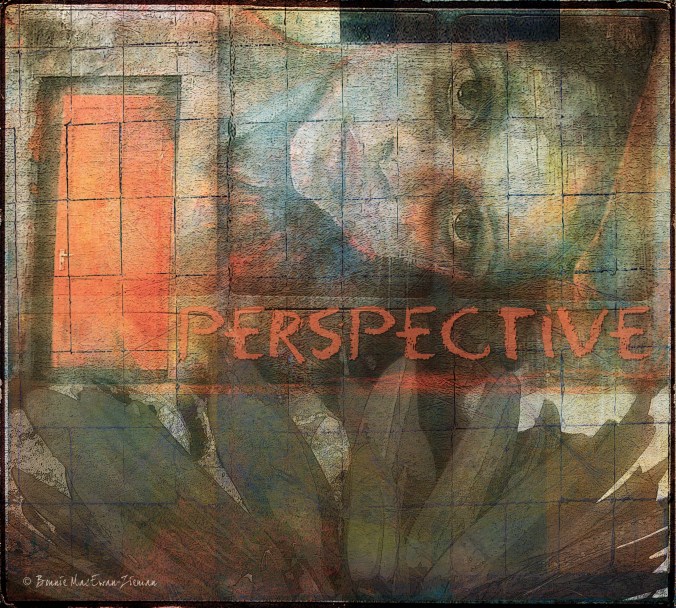 bz collage image webradlabf