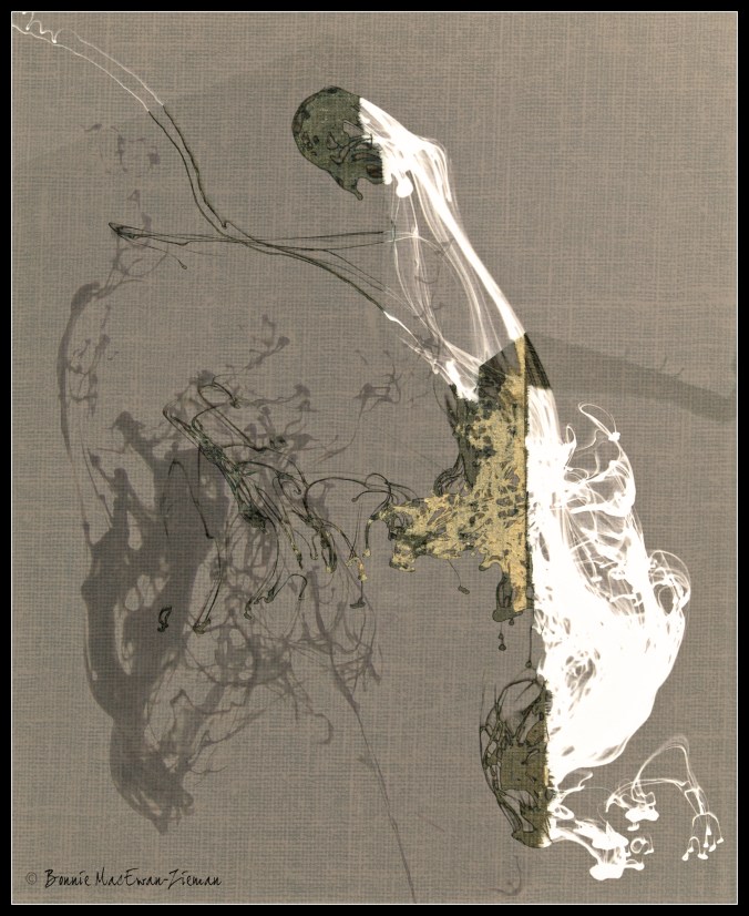 bzcombobook-cover-rip-01-edited_edited-7ds