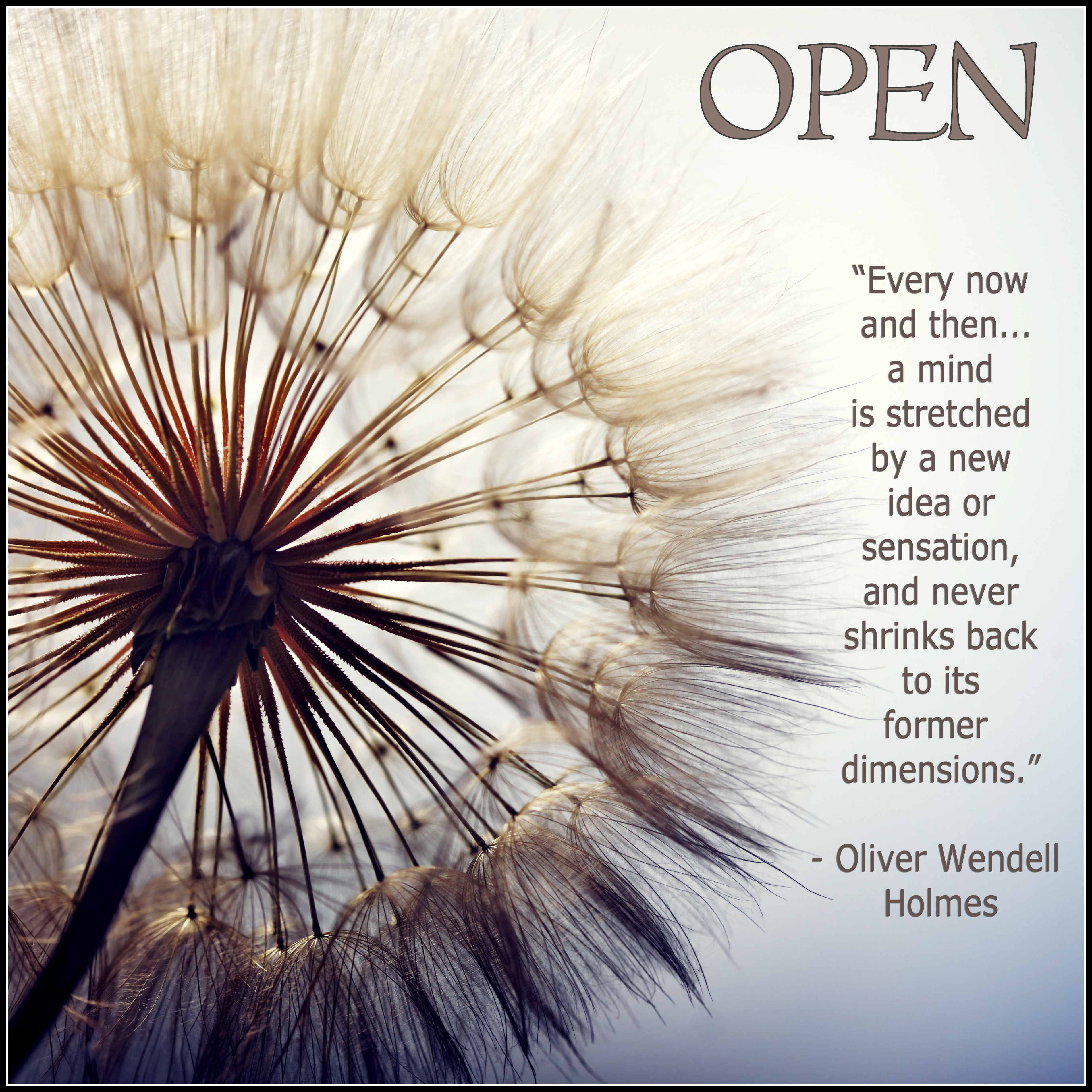 AdobeStock_bzz 78624800.jpg